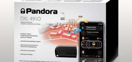 PANDORA DXL-4910